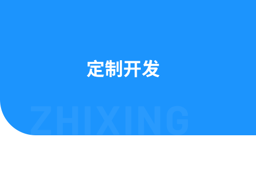 定制开发